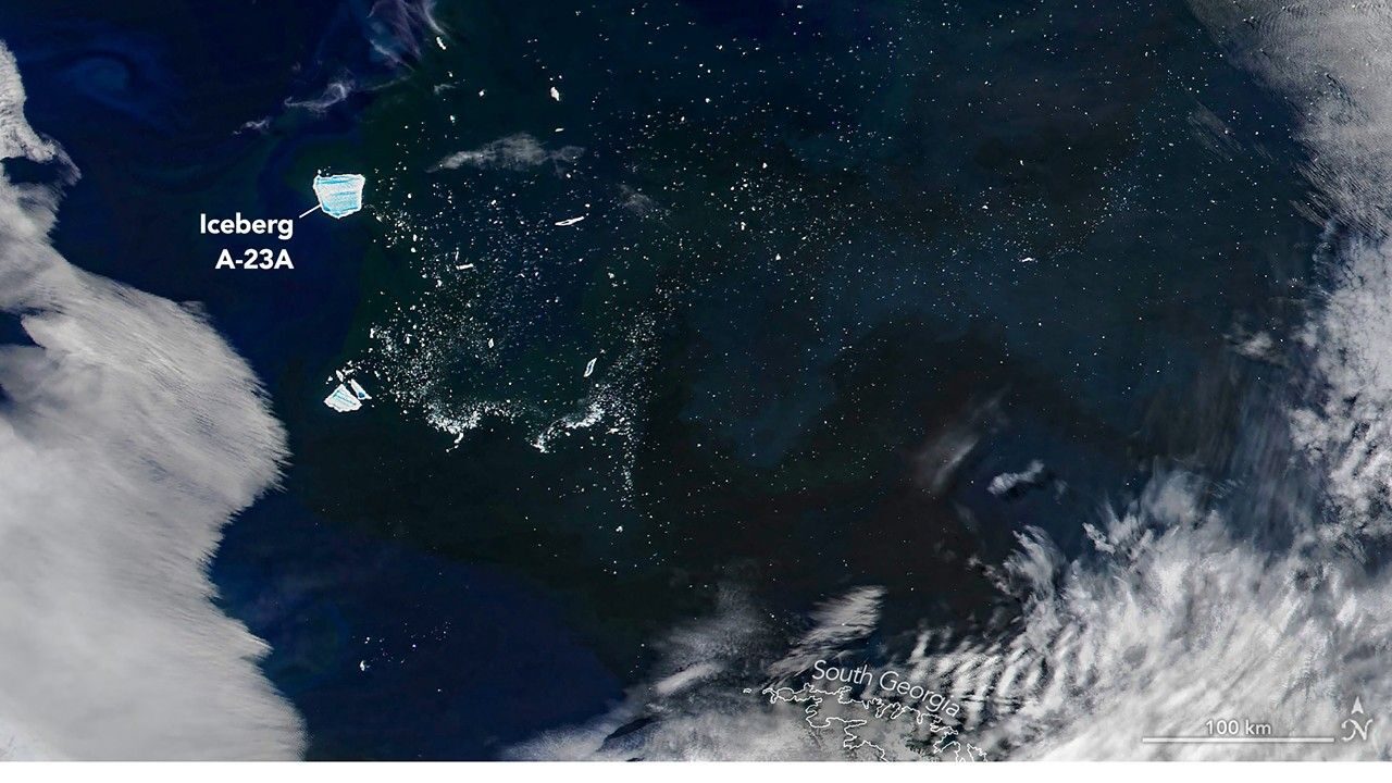 Ailing “Megaberg” Sparks Surge of Microscopic Life