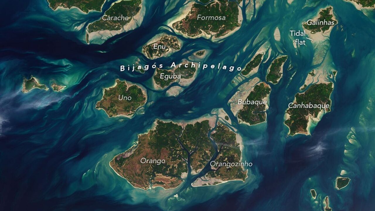 A Tide-Fueled Trove of Biodiversity in Guinea-Bissau
